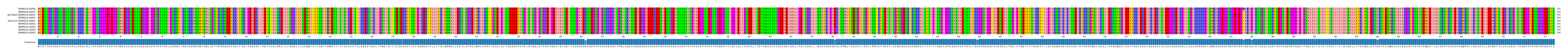 Multiple Alignments (by translate haplotype similarity)