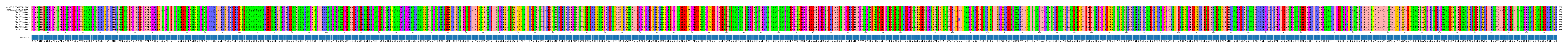 Multiple Alignments (by translate haplotype frequency)
