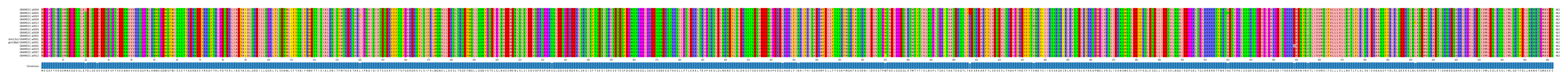 Multiple Alignments (by translate haplotype similarity)