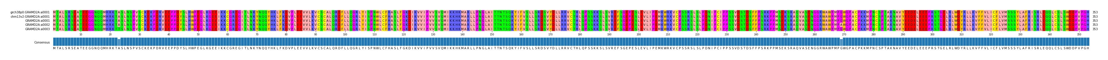Multiple Alignments (by translate haplotype frequency)