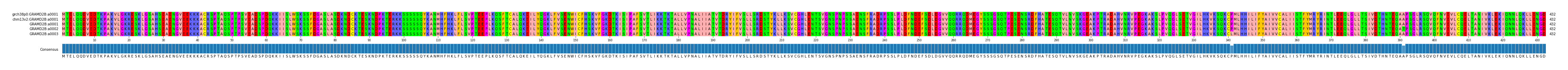 Multiple Alignments (by translate haplotype frequency)