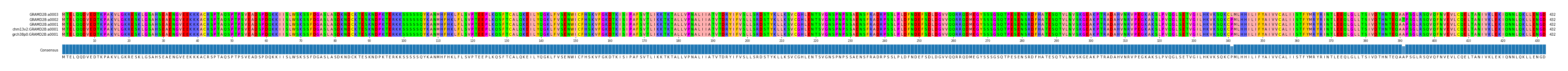 Multiple Alignments (by translate haplotype similarity)