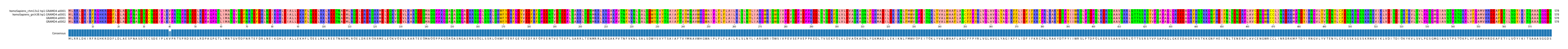 Multiple Alignments (by translate haplotype similarity)