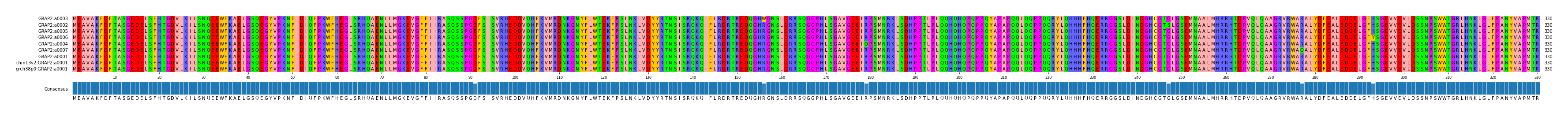 Multiple Alignments (by translate haplotype similarity)