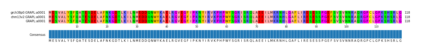 Multiple Alignments (by translate haplotype similarity)