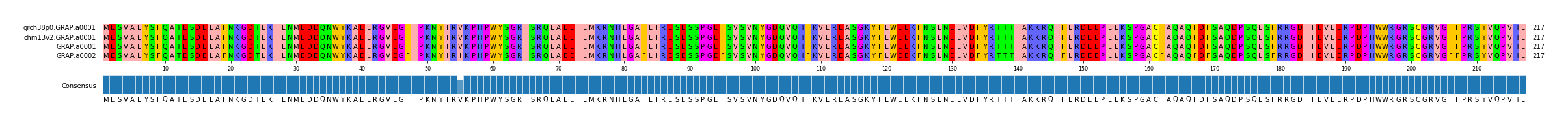 Multiple Alignments (by translate haplotype similarity)