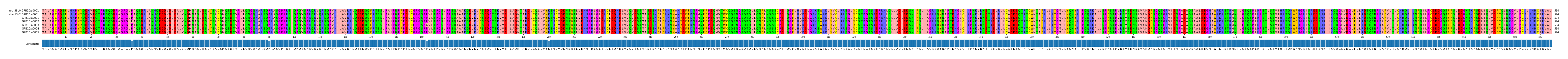 Multiple Alignments (by translate haplotype frequency)