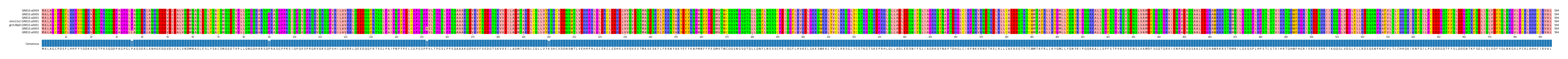 Multiple Alignments (by translate haplotype similarity)