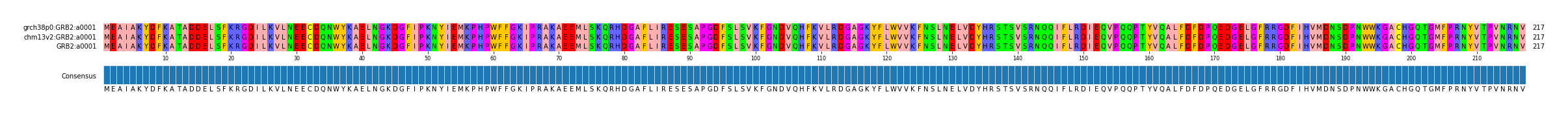Multiple Alignments (by translate haplotype similarity)