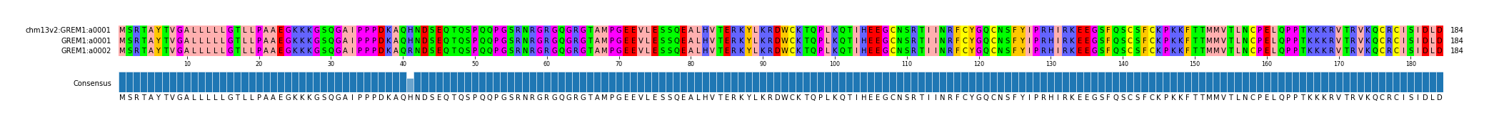 Multiple Alignments (by translate haplotype similarity)