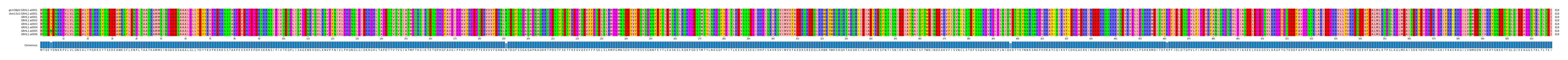 Multiple Alignments (by translate haplotype frequency)
