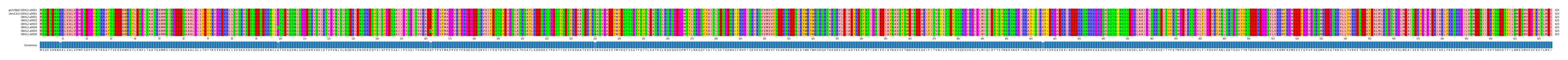 Multiple Alignments (by translate haplotype frequency)