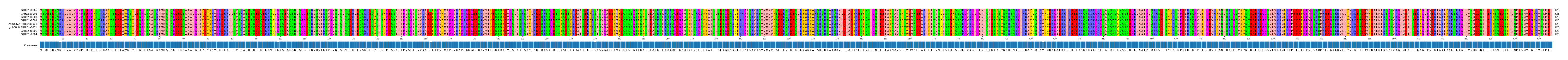 Multiple Alignments (by translate haplotype similarity)