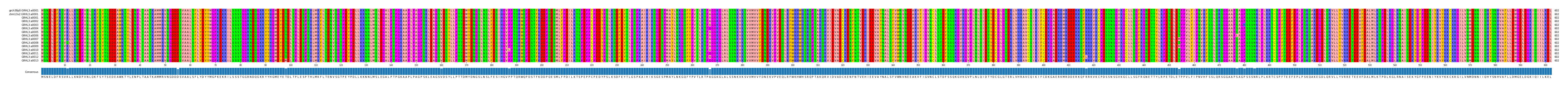 Multiple Alignments (by translate haplotype frequency)