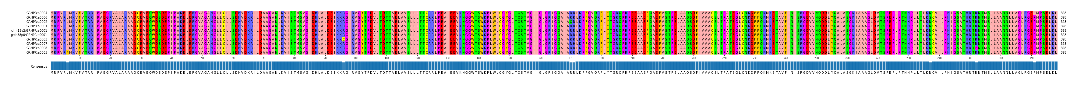 Multiple Alignments (by translate haplotype similarity)