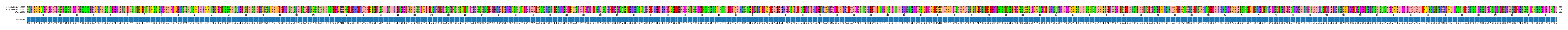 Multiple Alignments (by translate haplotype frequency)