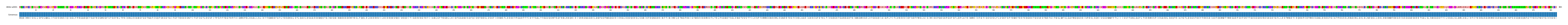 Multiple Alignments (by translate haplotype frequency)
