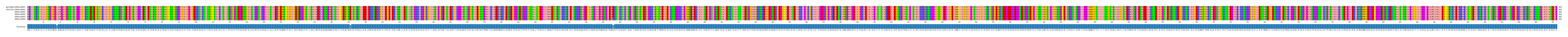 Multiple Alignments (by translate haplotype frequency)
