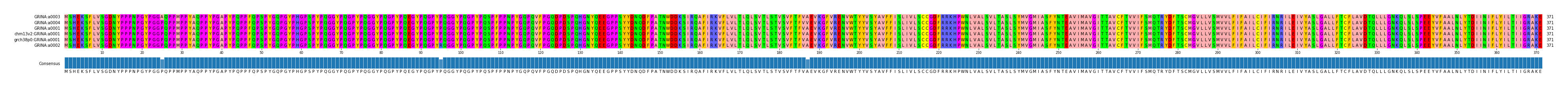Multiple Alignments (by translate haplotype similarity)