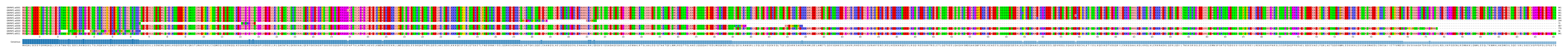 Multiple Alignments (by translate haplotype frequency)