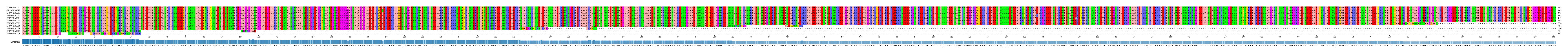 Multiple Alignments (by translate haplotype similarity)