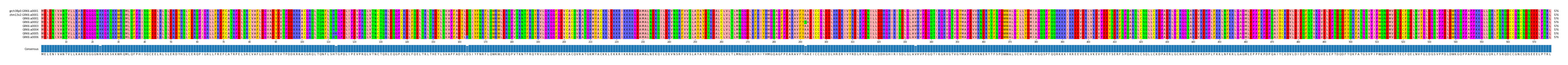 Multiple Alignments (by translate haplotype frequency)
