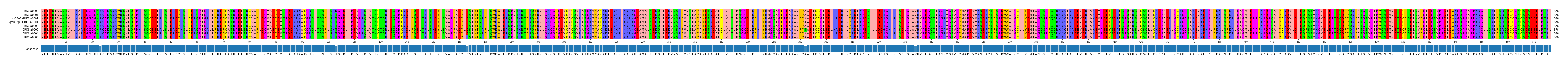 Multiple Alignments (by translate haplotype similarity)