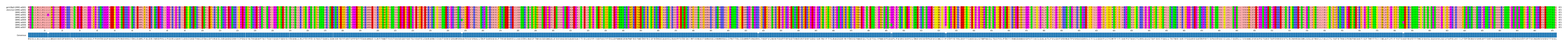 Multiple Alignments (by translate haplotype frequency)