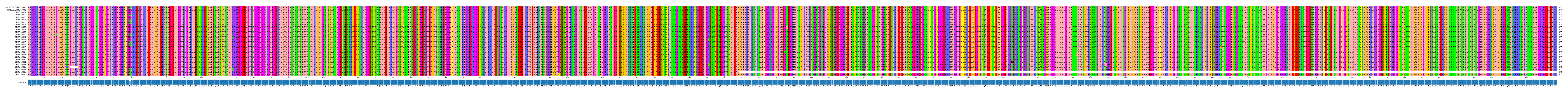 Multiple Alignments (by translate haplotype frequency)