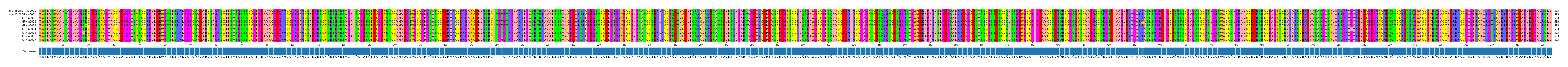 Multiple Alignments (by translate haplotype frequency)