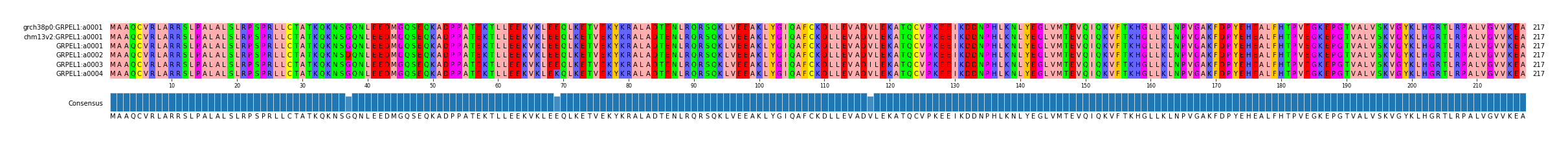 Multiple Alignments (by translate haplotype frequency)