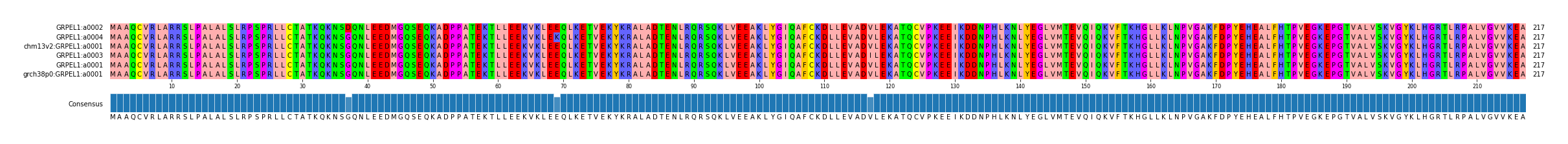 Multiple Alignments (by translate haplotype similarity)