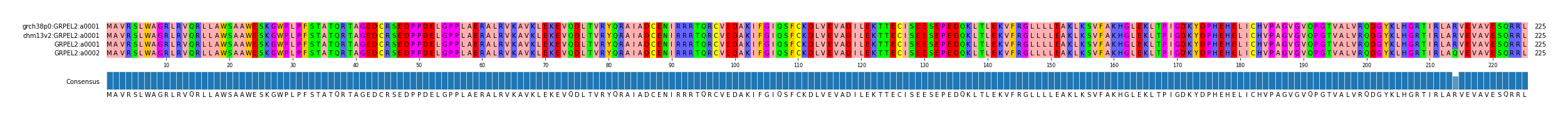 Multiple Alignments (by translate haplotype similarity)