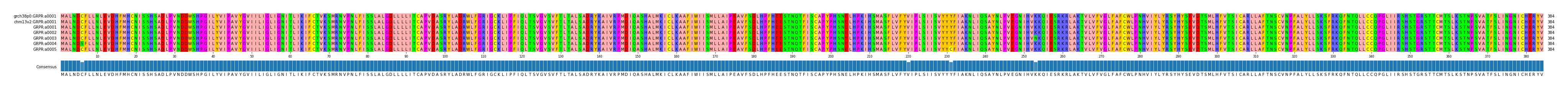 Multiple Alignments (by translate haplotype frequency)