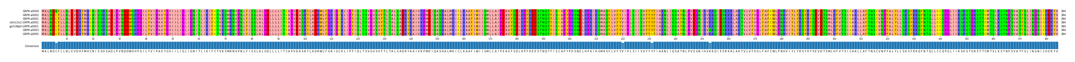 Multiple Alignments (by translate haplotype similarity)
