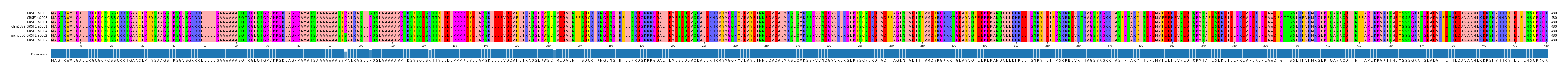 Multiple Alignments (by translate haplotype similarity)