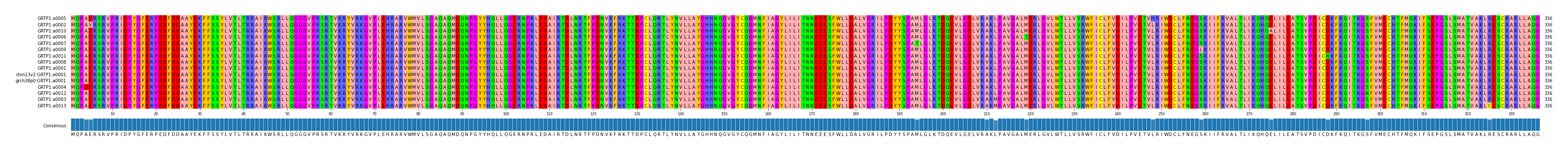 Multiple Alignments (by translate haplotype similarity)