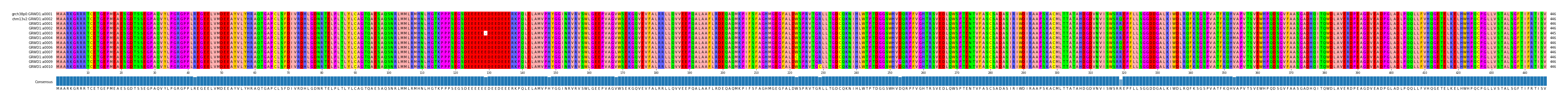 Multiple Alignments (by translate haplotype frequency)