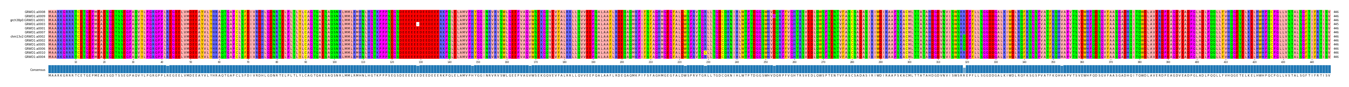 Multiple Alignments (by translate haplotype similarity)