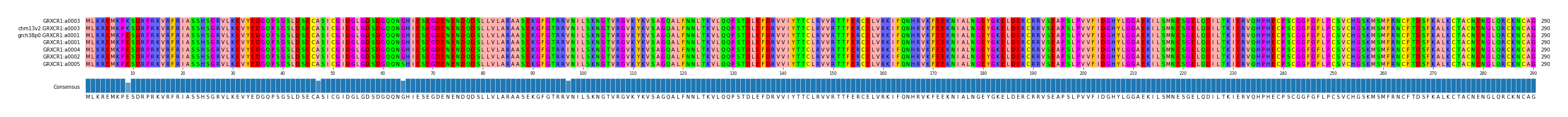 Multiple Alignments (by translate haplotype similarity)