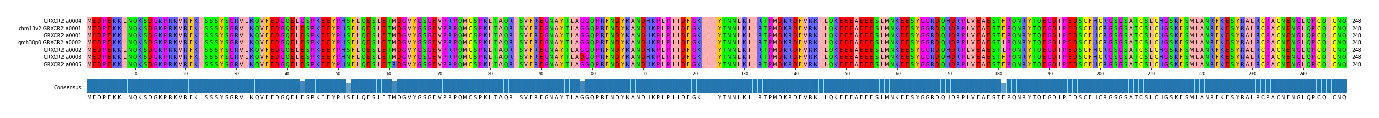 Multiple Alignments (by translate haplotype similarity)