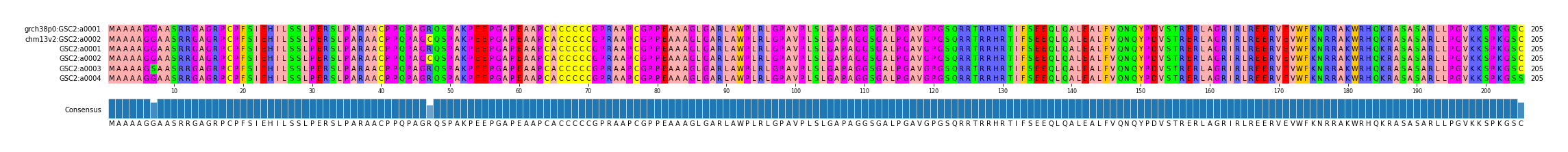 Multiple Alignments (by translate haplotype frequency)
