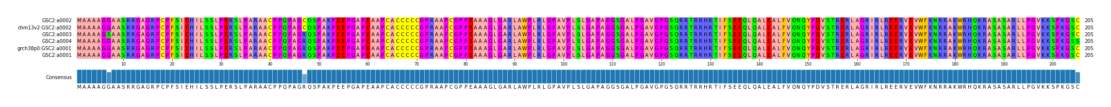 Multiple Alignments (by translate haplotype similarity)