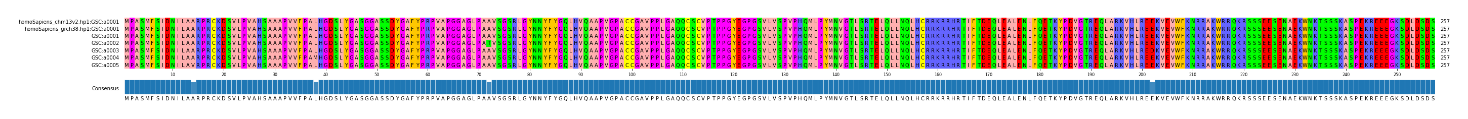 Multiple Alignments (by translate haplotype frequency)