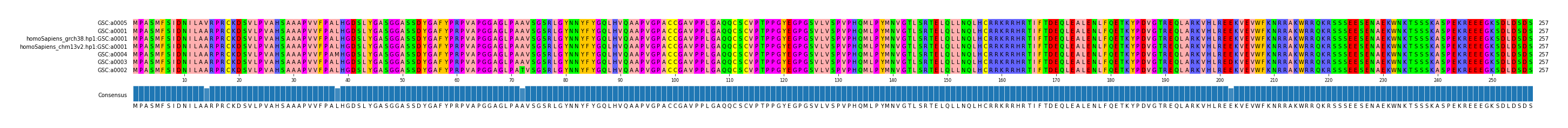 Multiple Alignments (by translate haplotype similarity)