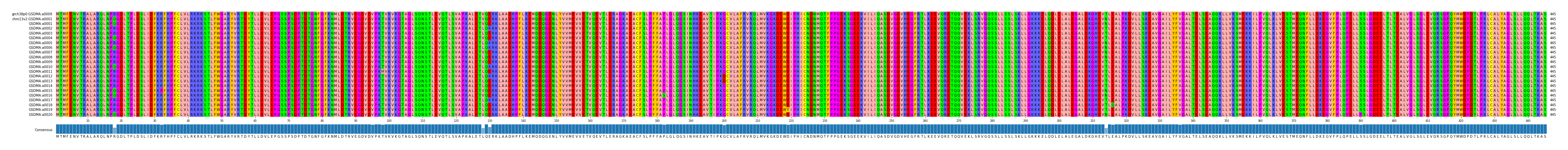 Multiple Alignments (by translate haplotype frequency)
