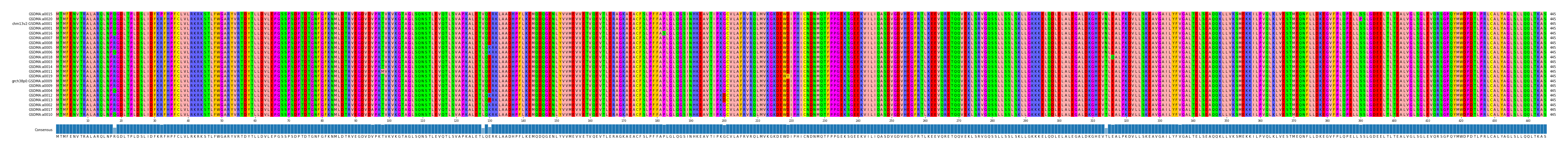 Multiple Alignments (by translate haplotype similarity)