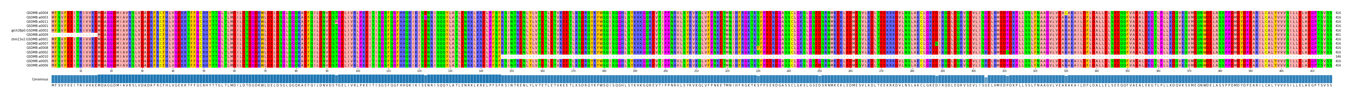 Multiple Alignments (by translate haplotype similarity)