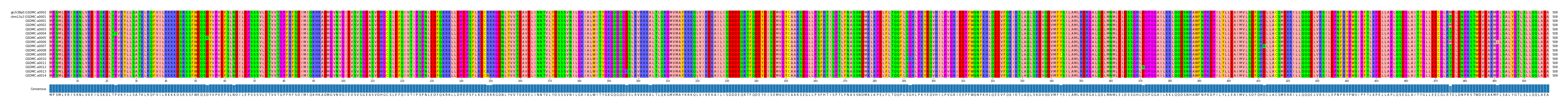 Multiple Alignments (by translate haplotype frequency)