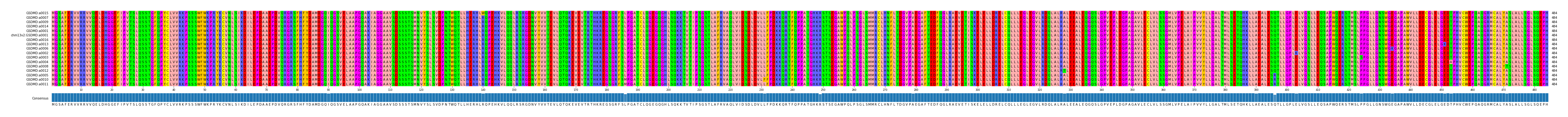 Multiple Alignments (by translate haplotype similarity)